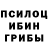 Псилоцибиновые грибы Magic Shrooms DSimbu