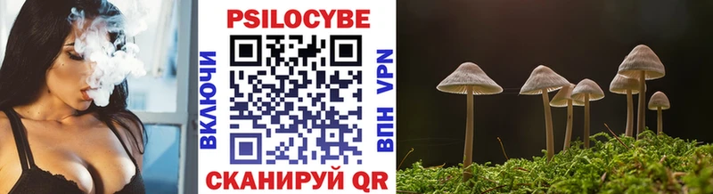 Галлюциногенные грибы Magic Shrooms Карабаш